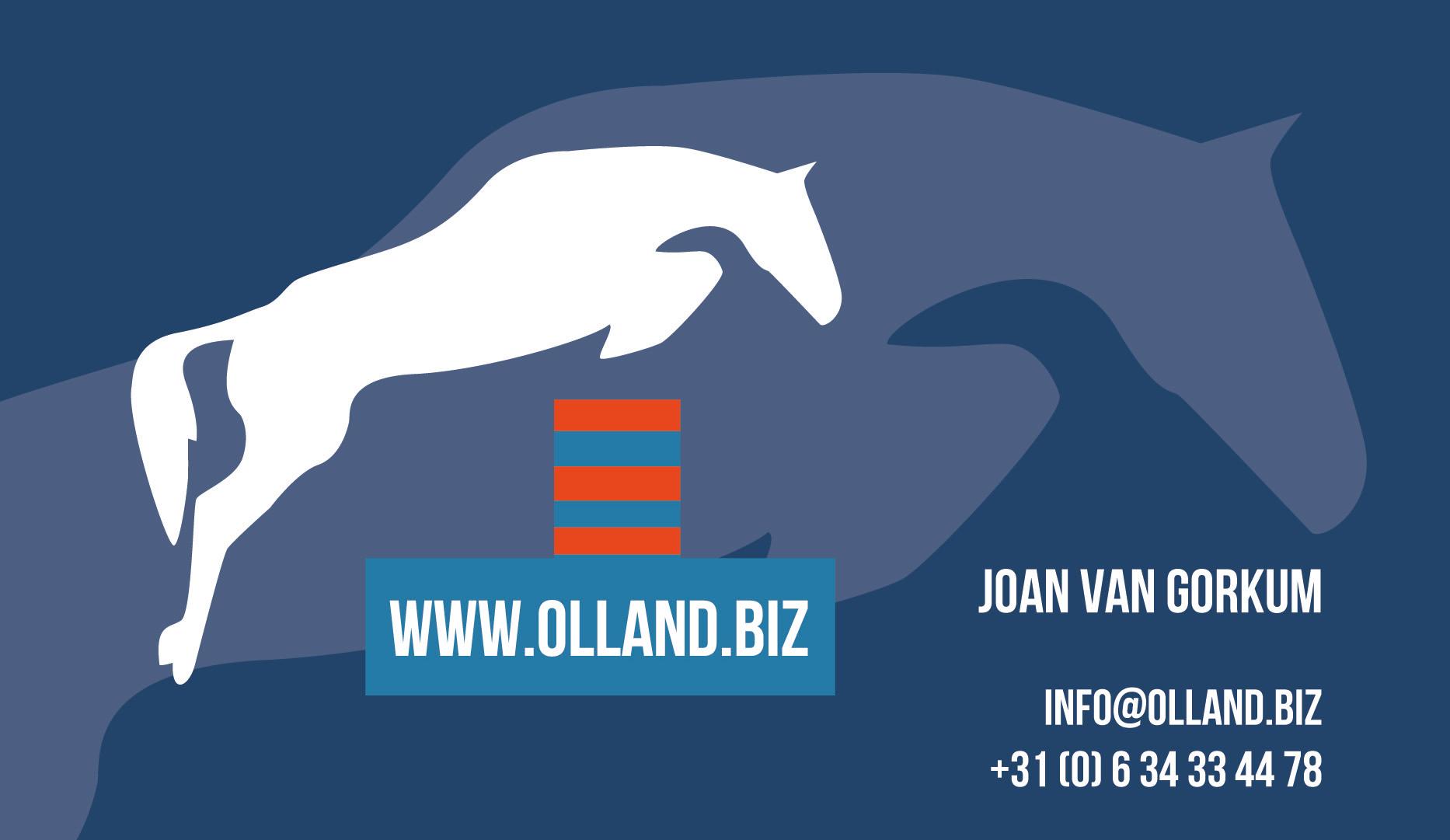 Logo OllandBiz